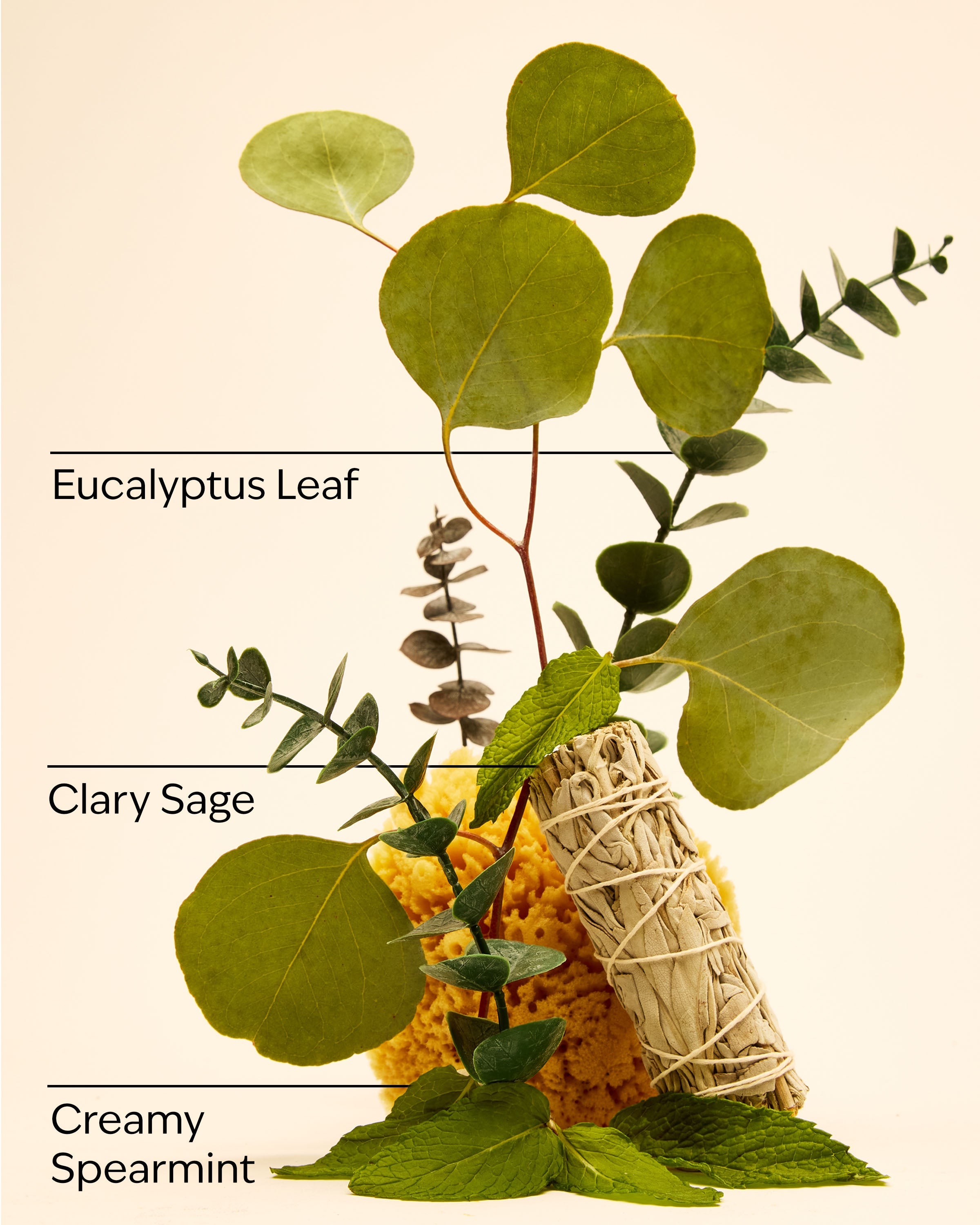 Eucalyptus Spearmint Mini Gift Set