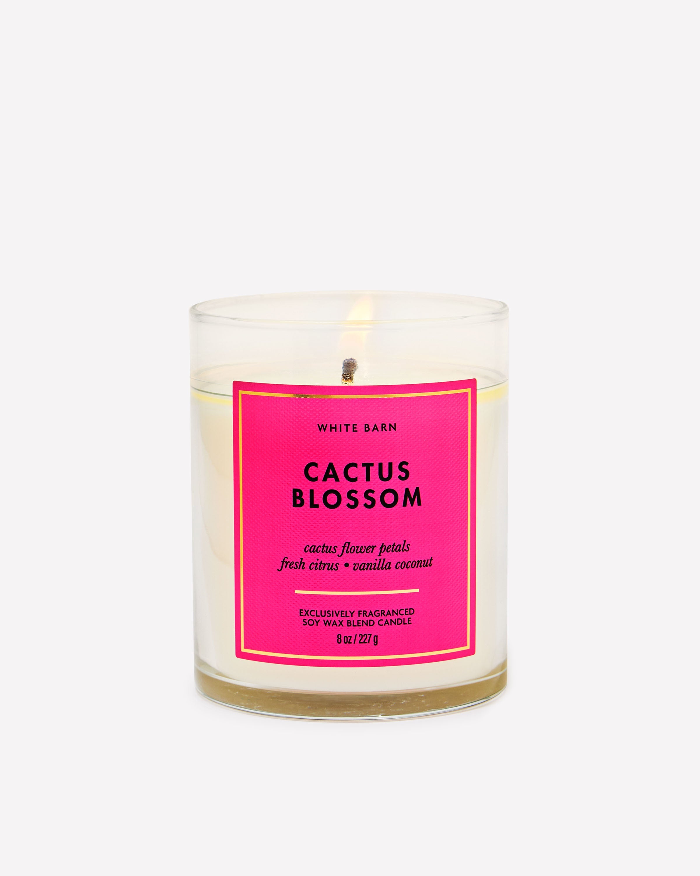 Cactus Blossom Single Wick Candle