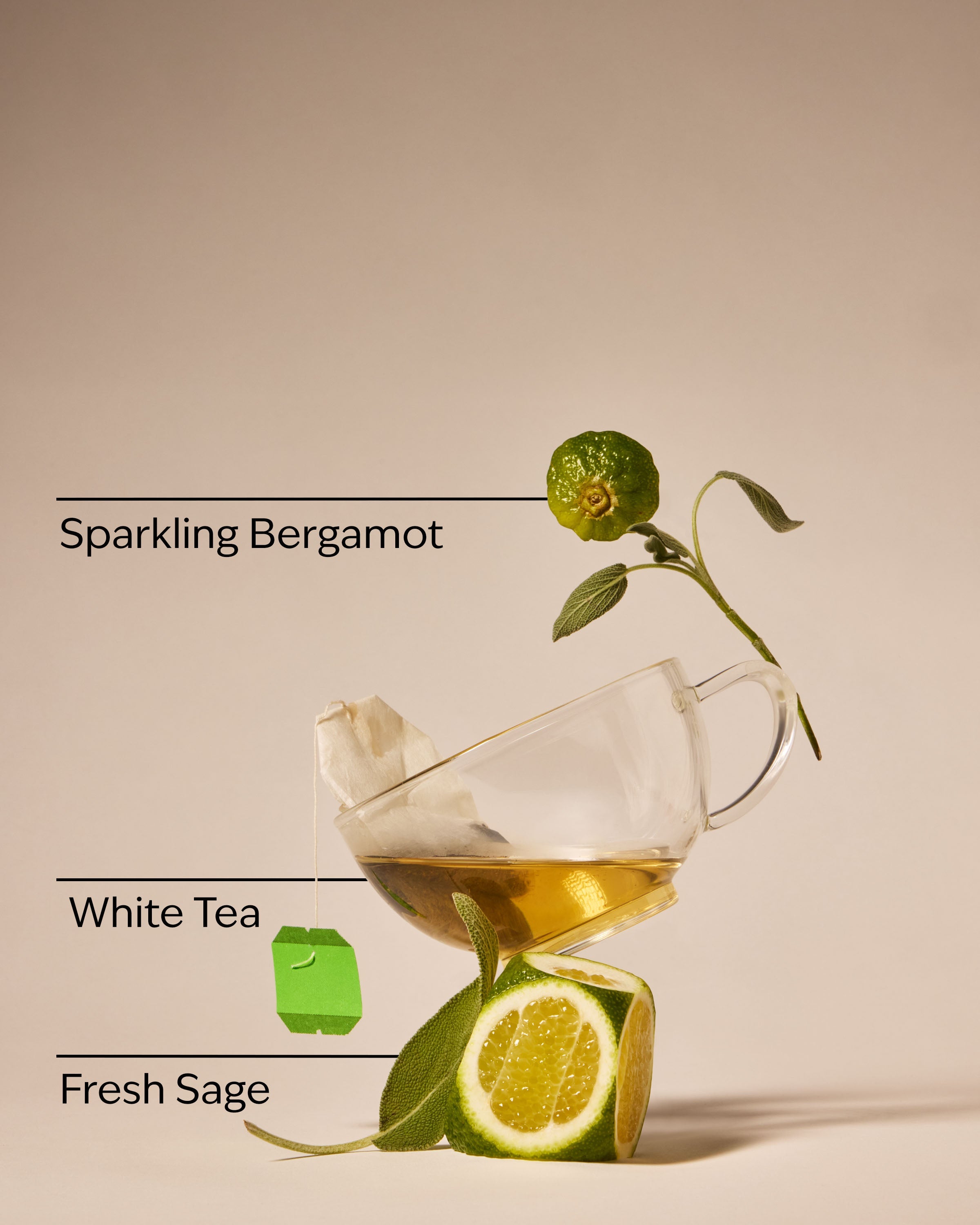 White Tea & Sage Single Wick Candle