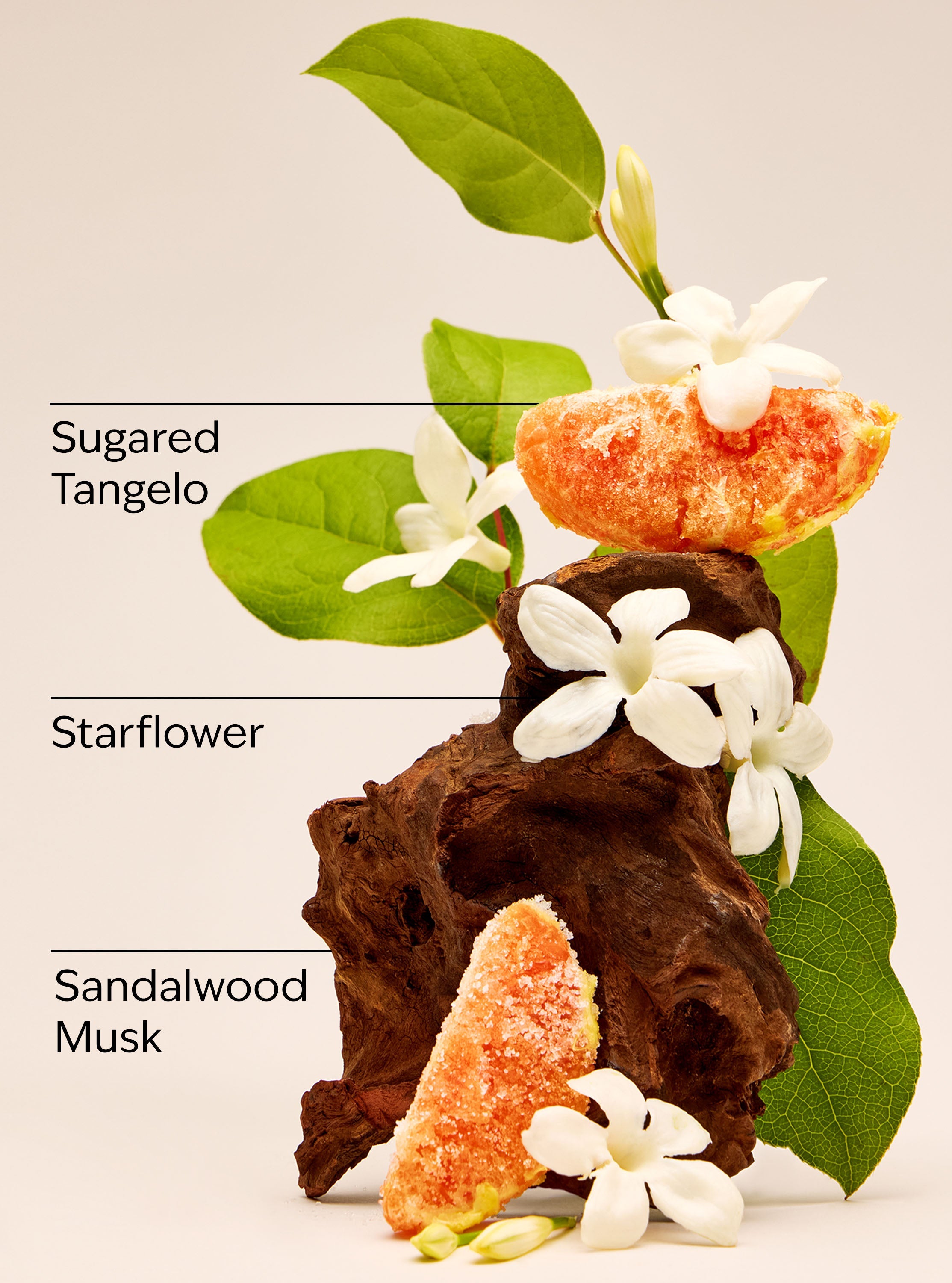 In the Stars Wallflowers Fragrance Refill