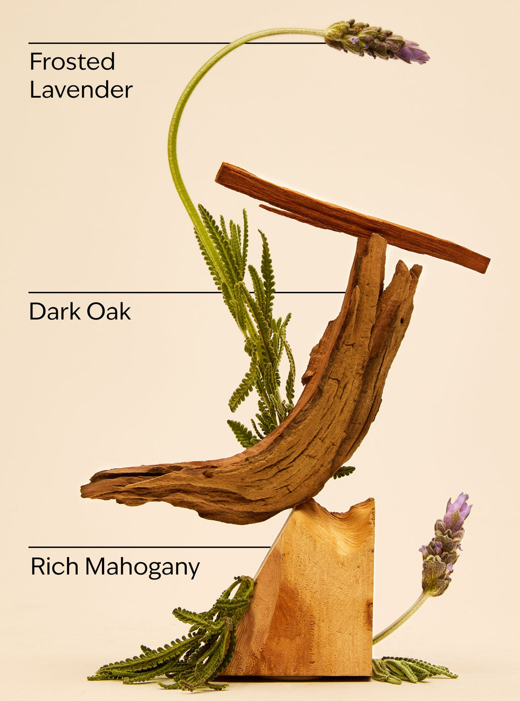 Mahogany Teakwood Wallflowers Fragrance Refill