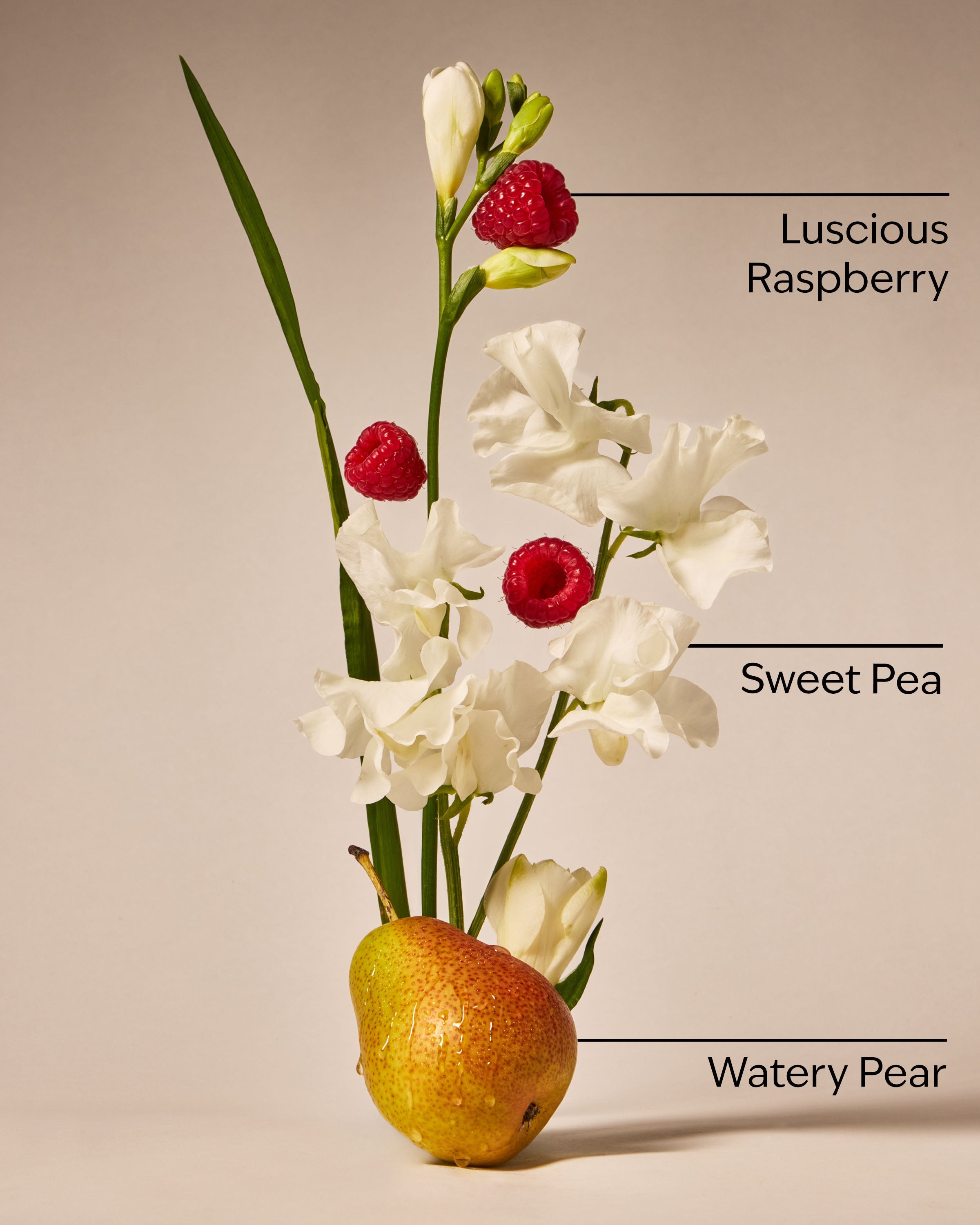 Sweet Pea Body Lotion
