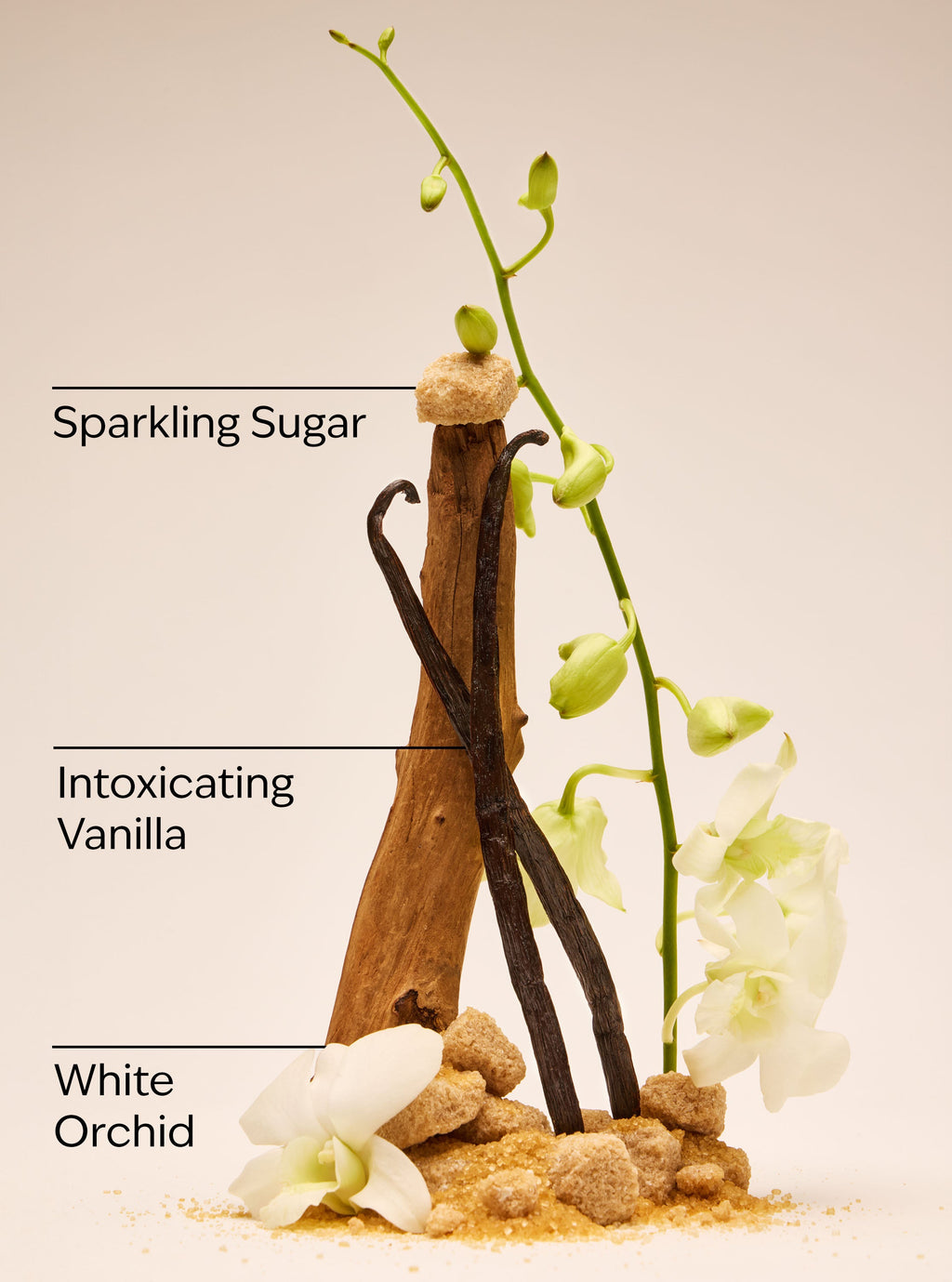 Warm Vanilla Sugar Creamy Body Scrub