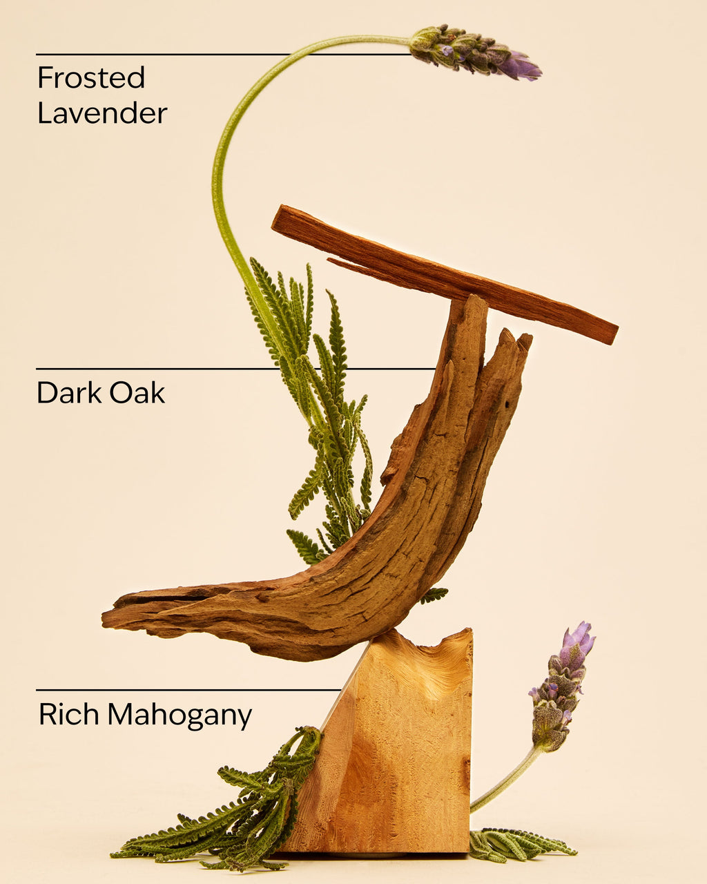 Mahogany Teakwood Cologne