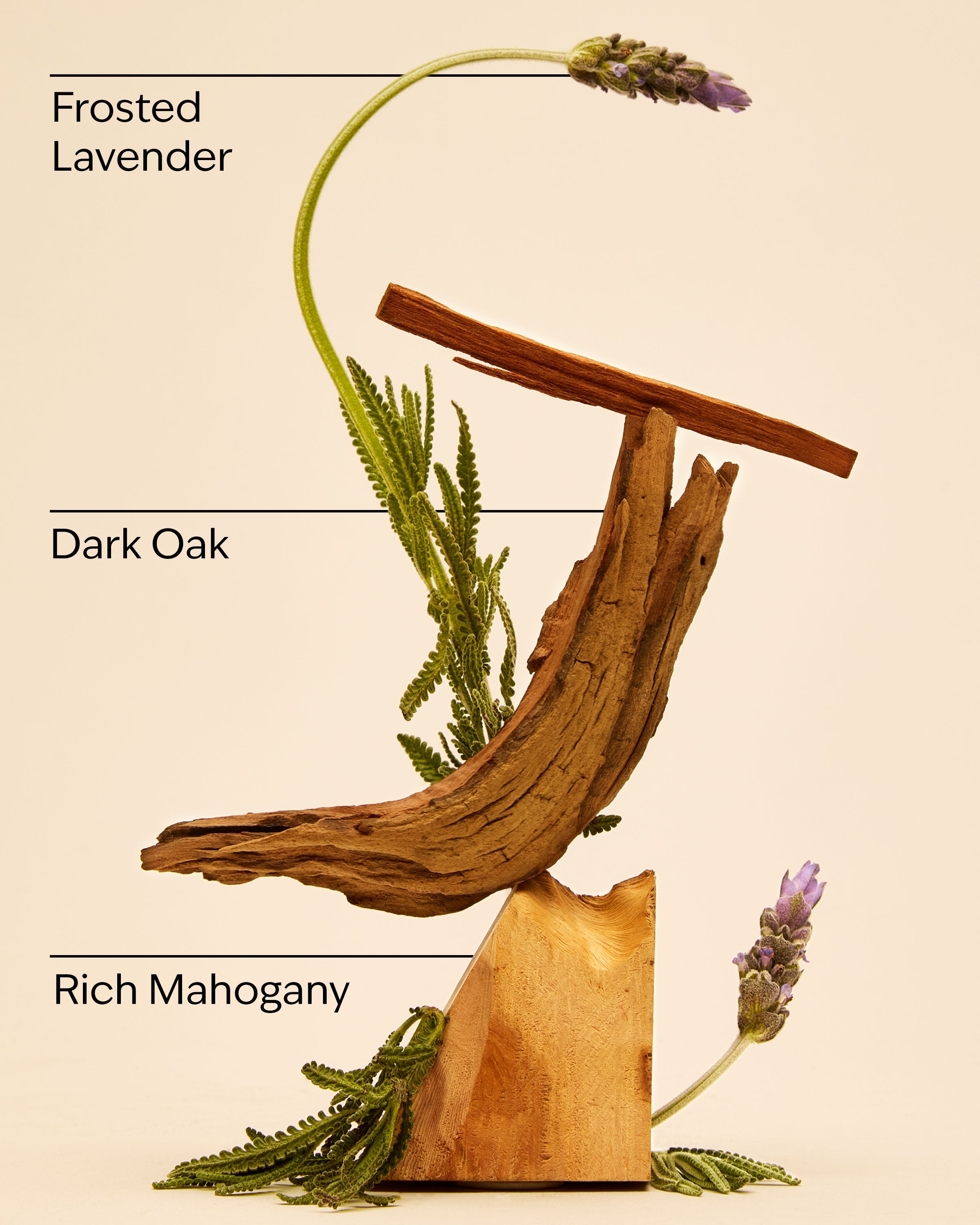 Mahogany Teakwood Antiperspirant Deodorant