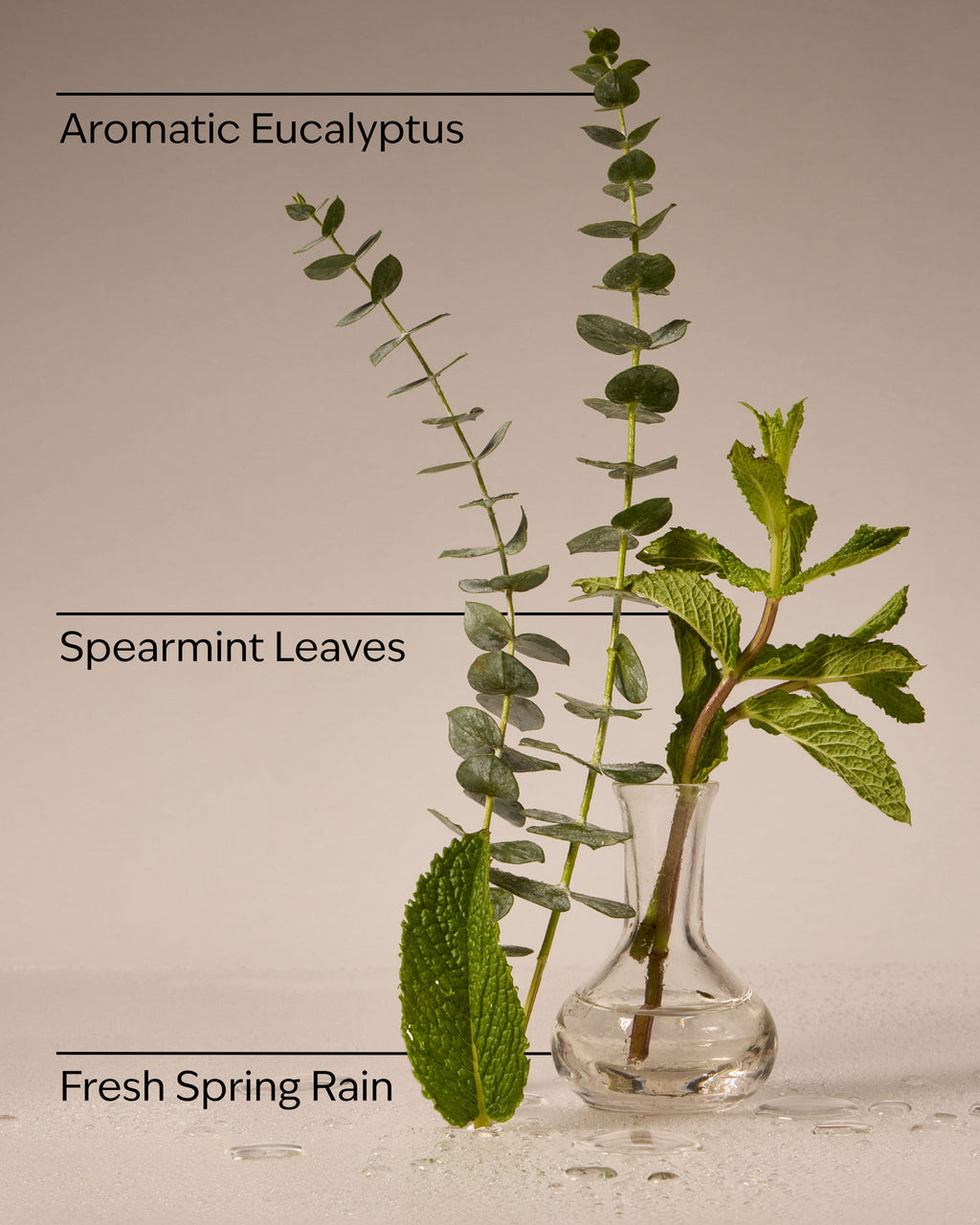 Eucalyptus Rain Wallflowers Fragrance Refill