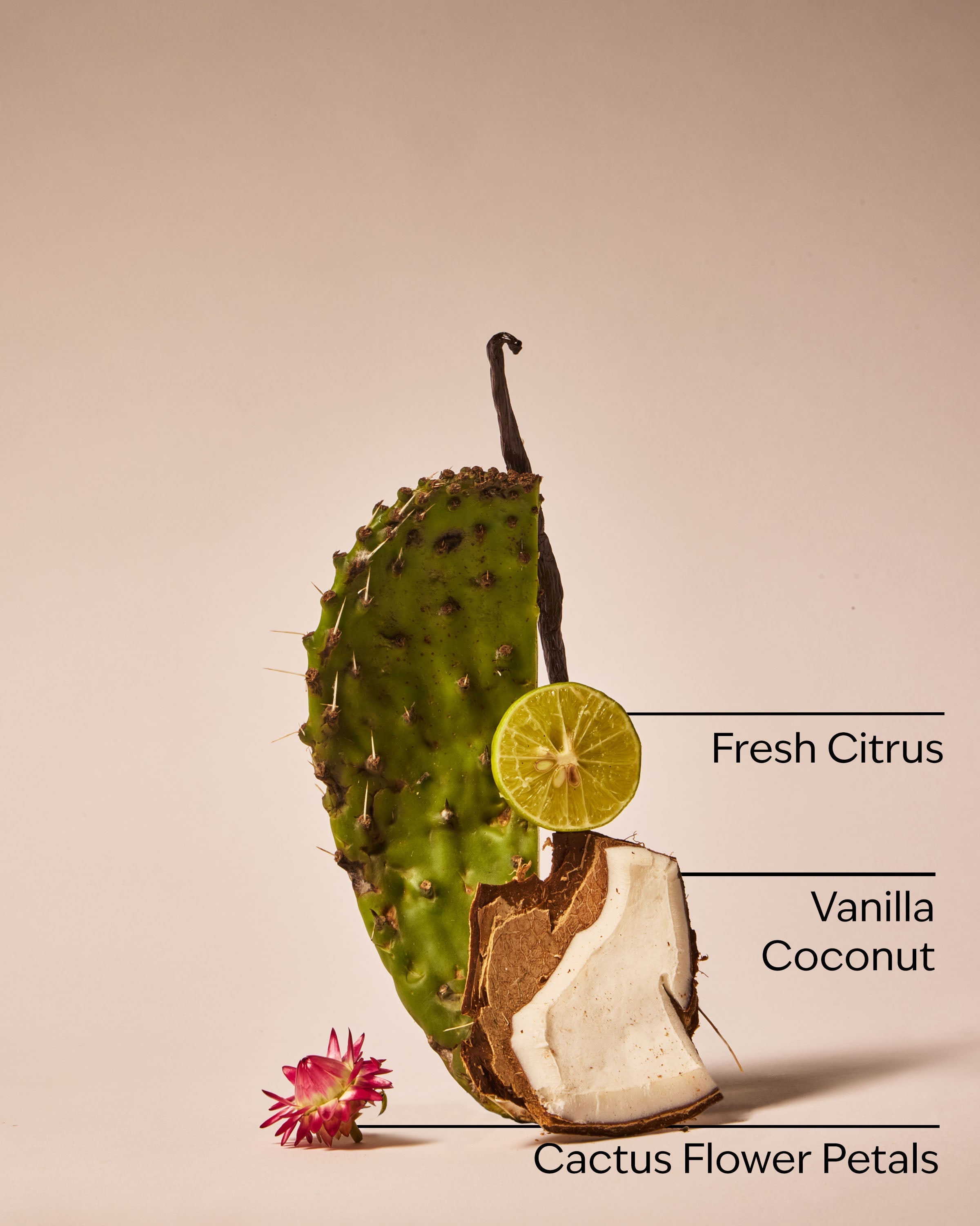 Cactus Blossom 3-Wick Candle