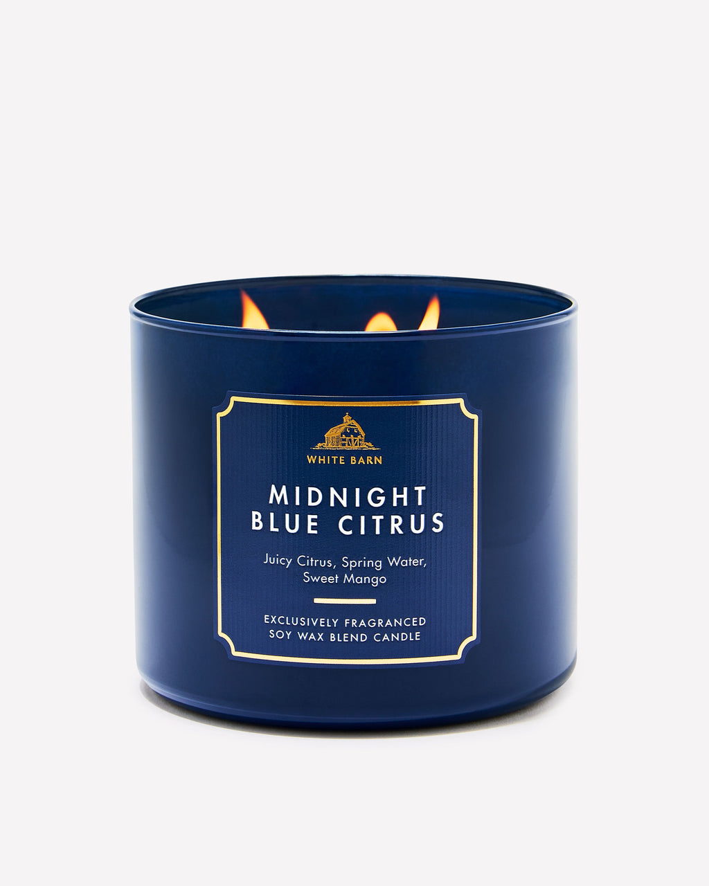 Midnight Blue Citrus 3-Wick Candle