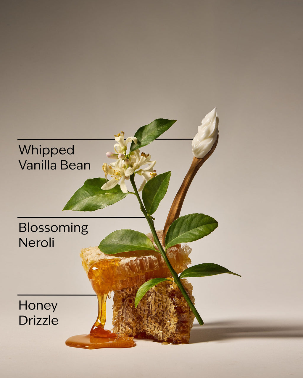 Whipped Honey & Vanilla Wallflowers Fragrance Refill