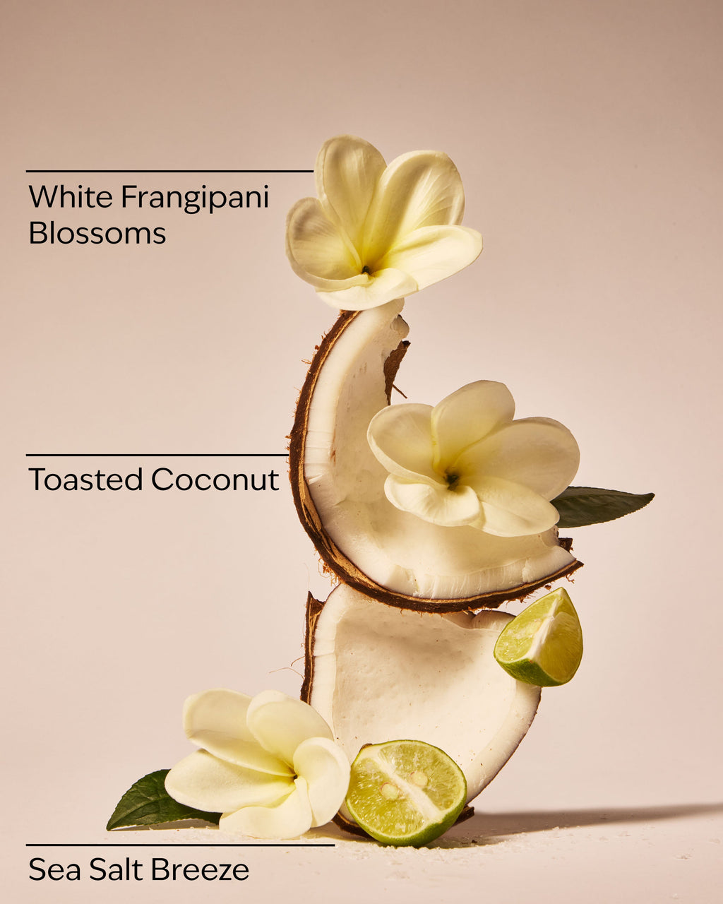 At the Beach Hand Cream