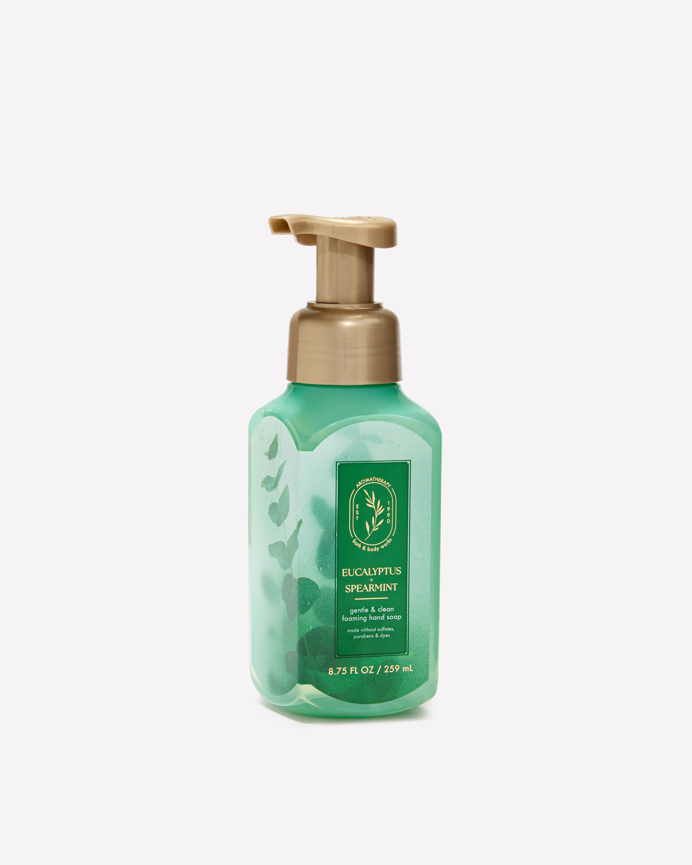 Eucalyptus Spearmint Gentle & Clean Foaming Hand Soap