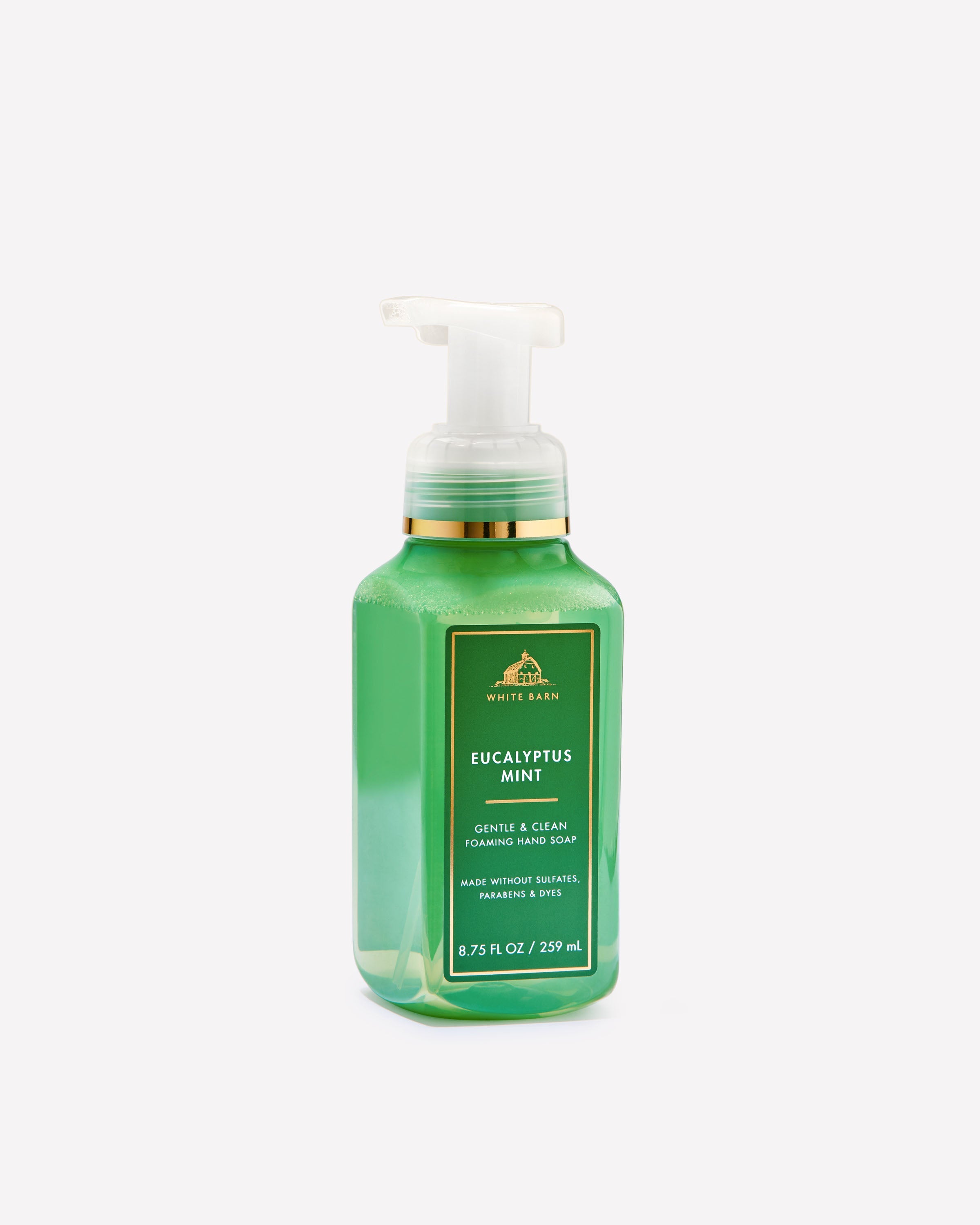 Eucalyptus Mint Gentle & Clean Foaming Hand Soap