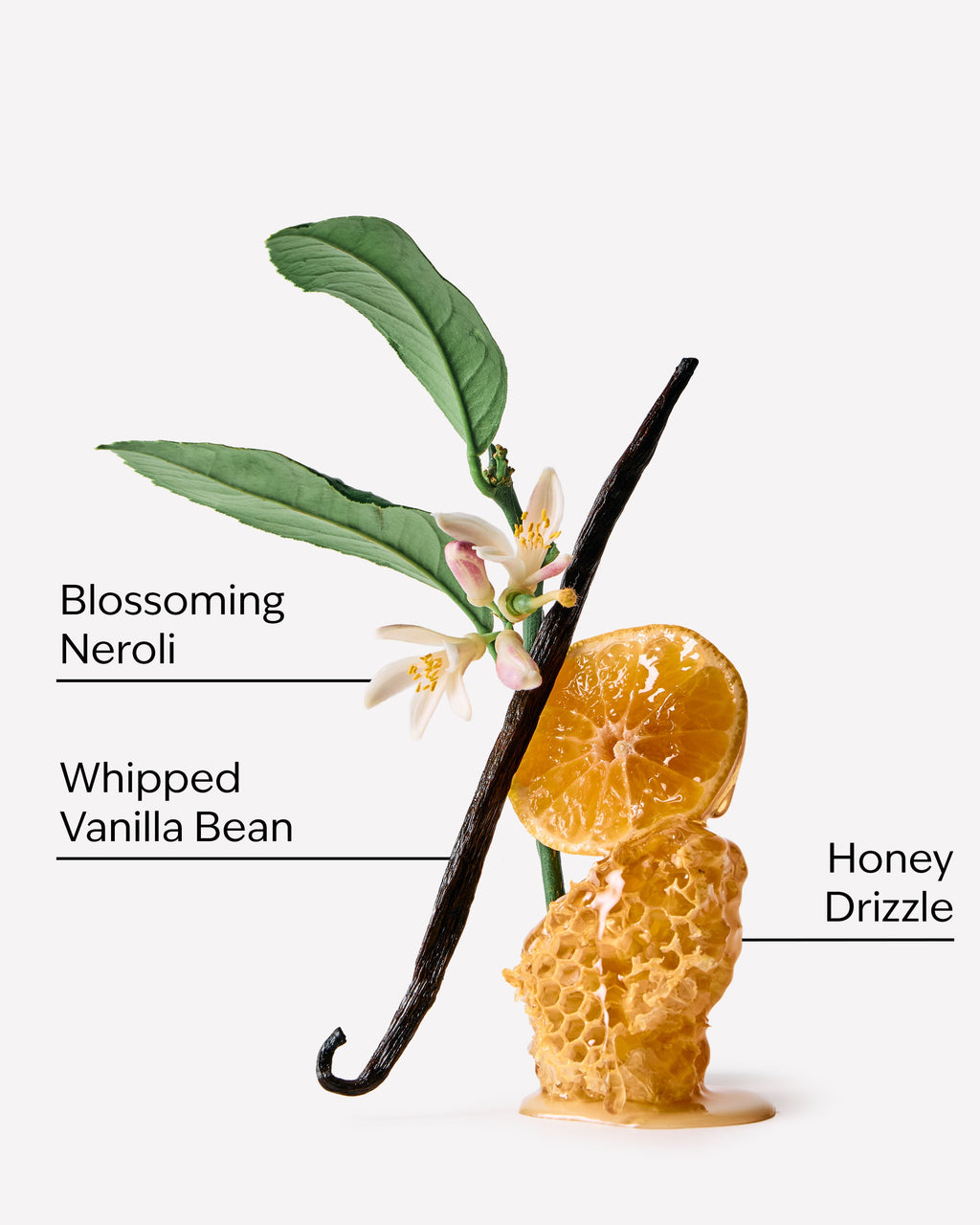 Whipped Honey & Vanilla Single Wick Candle