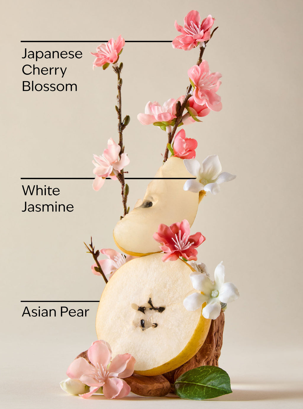 Japanese Cherry Blossom Body Wash