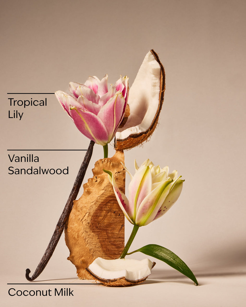 Eau De Coconut Ultimate Hydration Body Cream