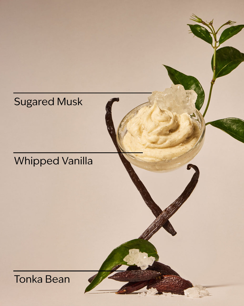 Wild Vanilla Travel Size Smooth & Soothe Body Cream