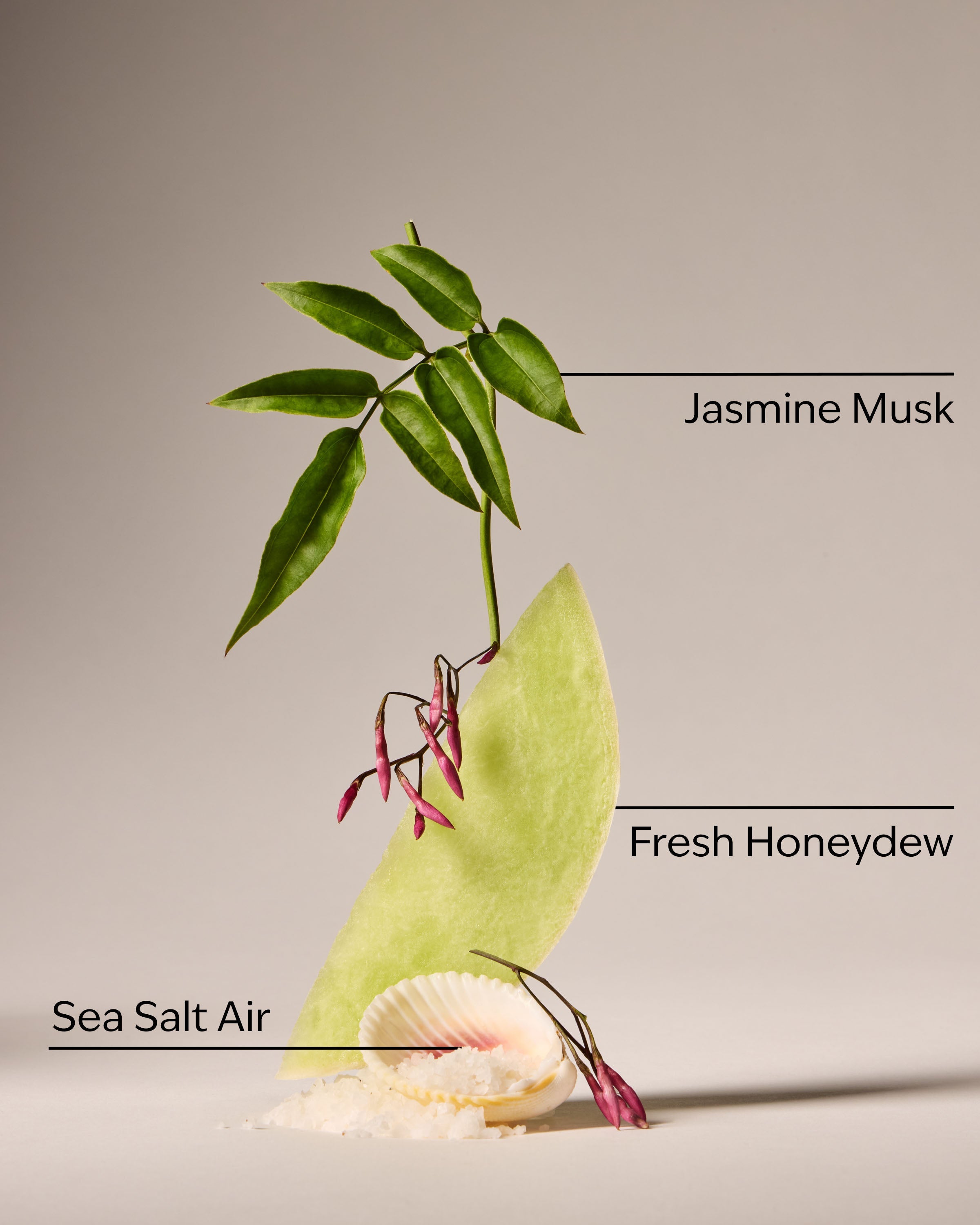 Sea Salt Travel Size Fine Fragrance Mist