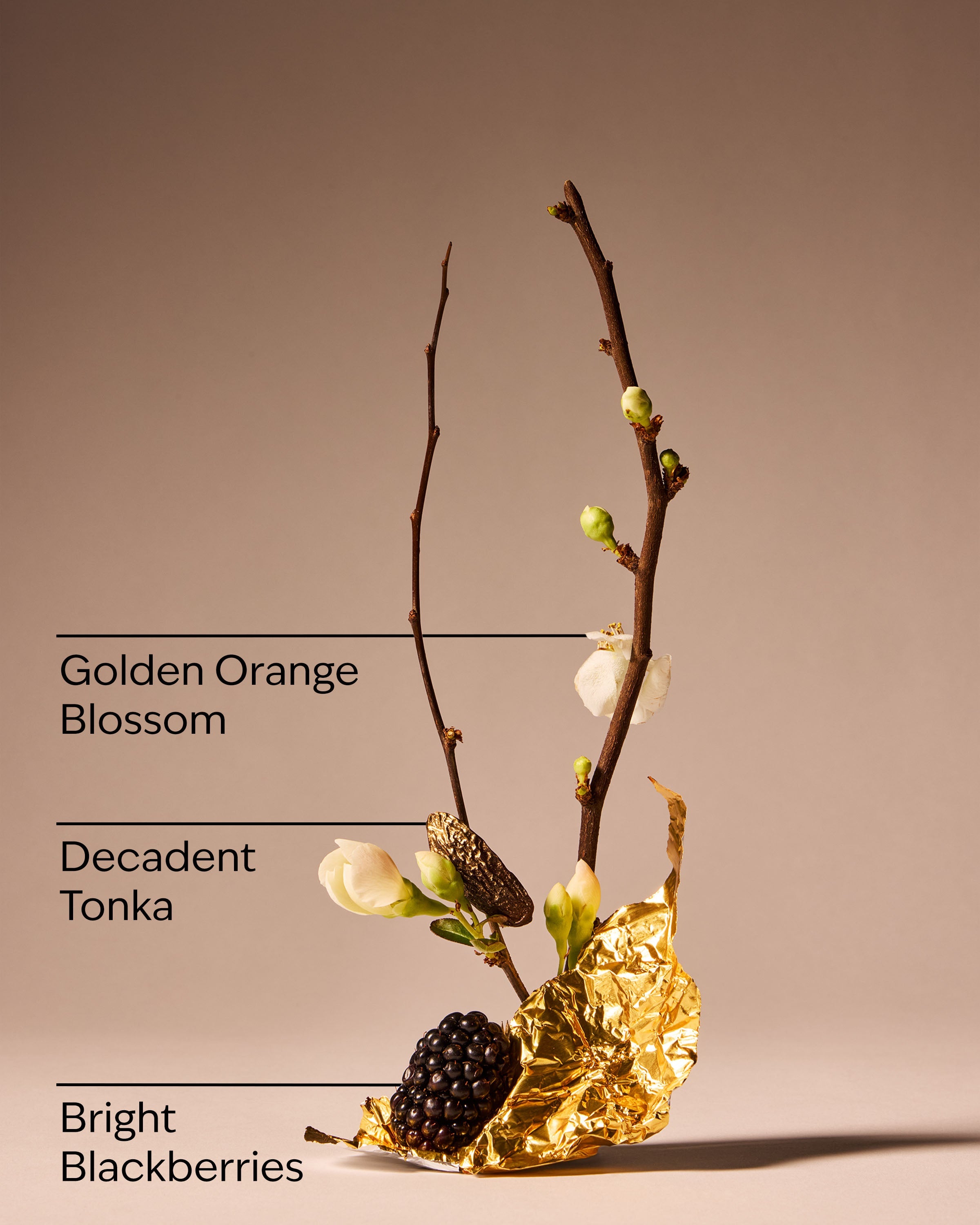 Touch of Gold Fine Fragrance Mist