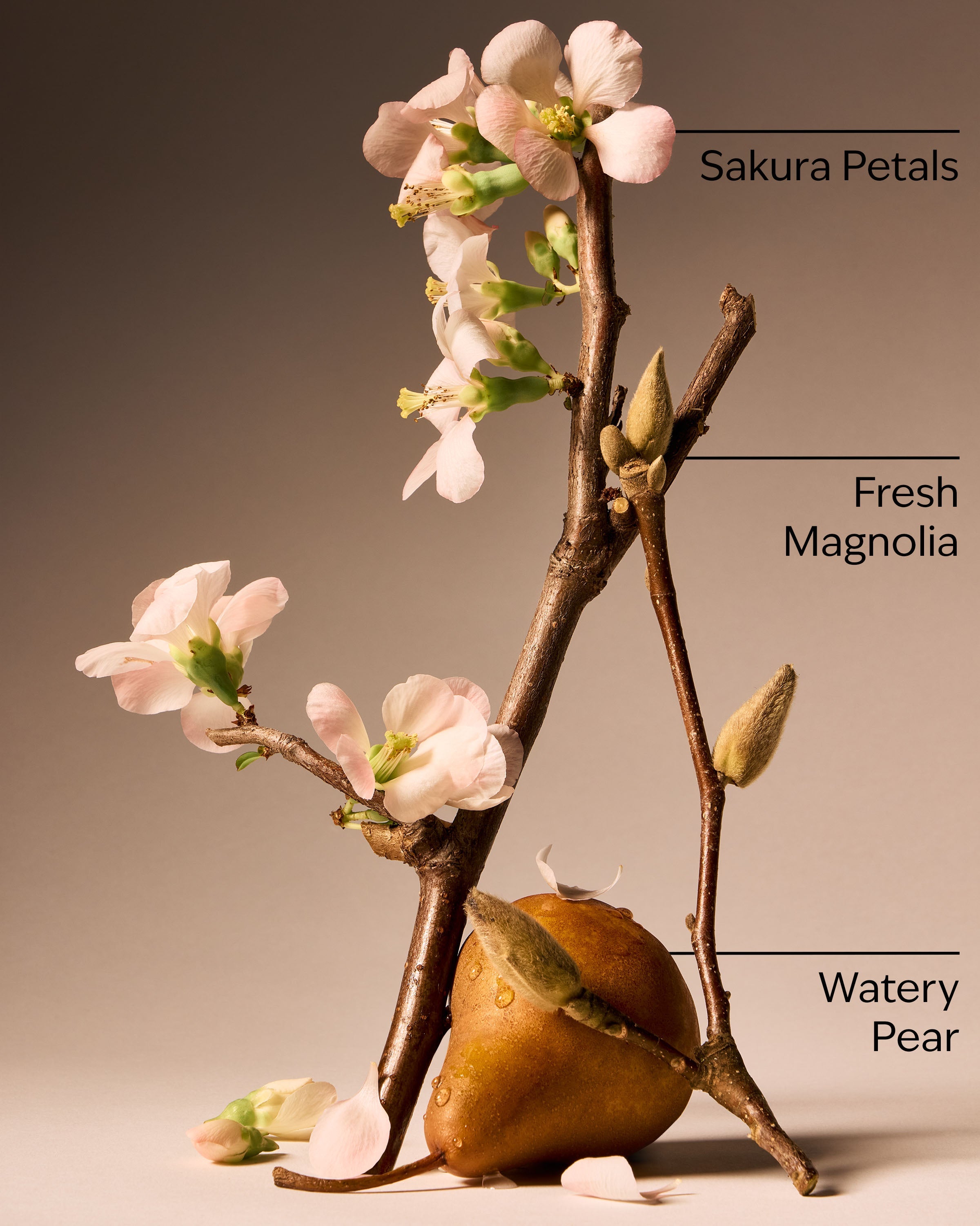 Forever Cherry Blossom Ultimate Hydration Body Cream