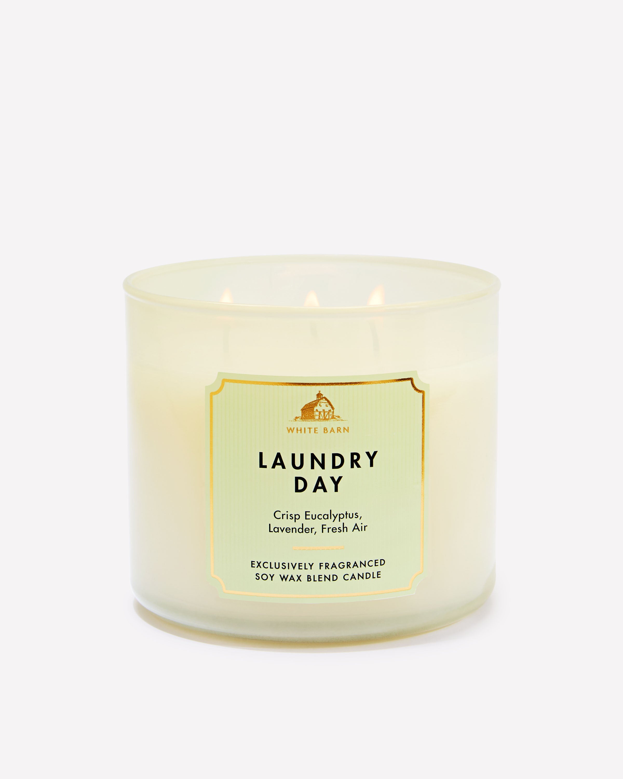 Laundry Day 3-Wick Candle