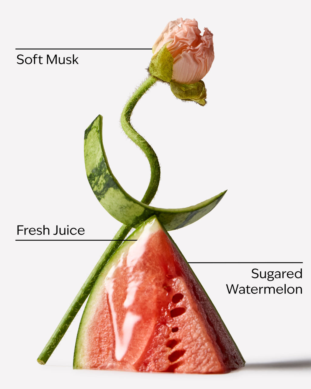 Watermelon Whirl Perfume Mist