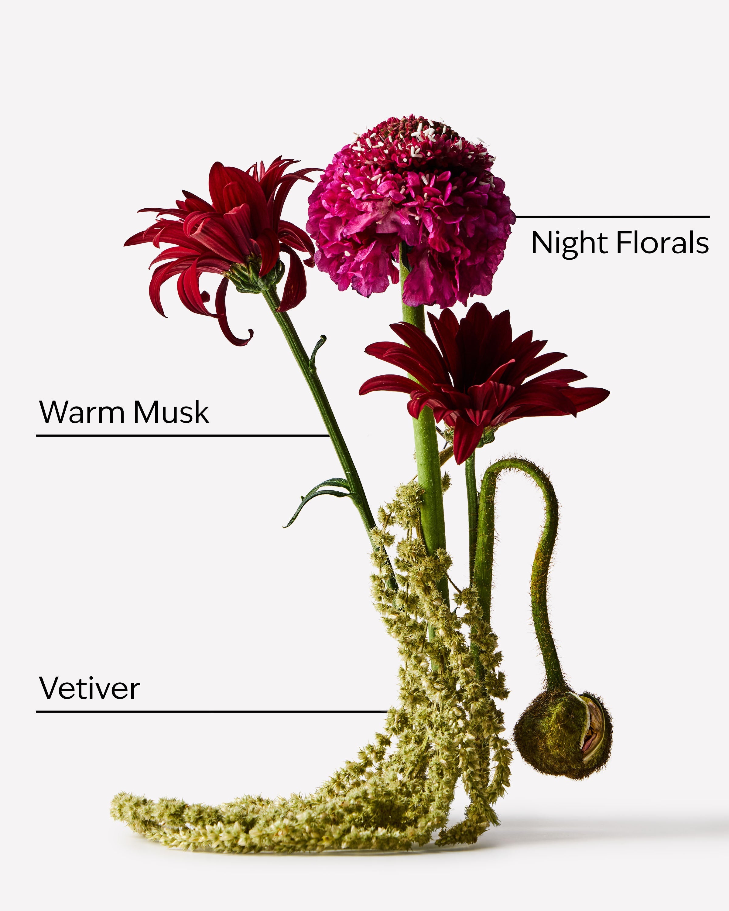 Into Orbit Deodorizing Body Spray