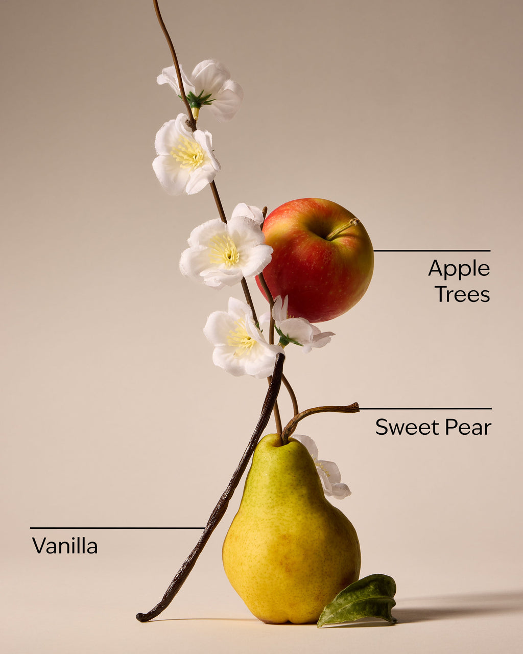 Spring Apple Car Fragrance Refill