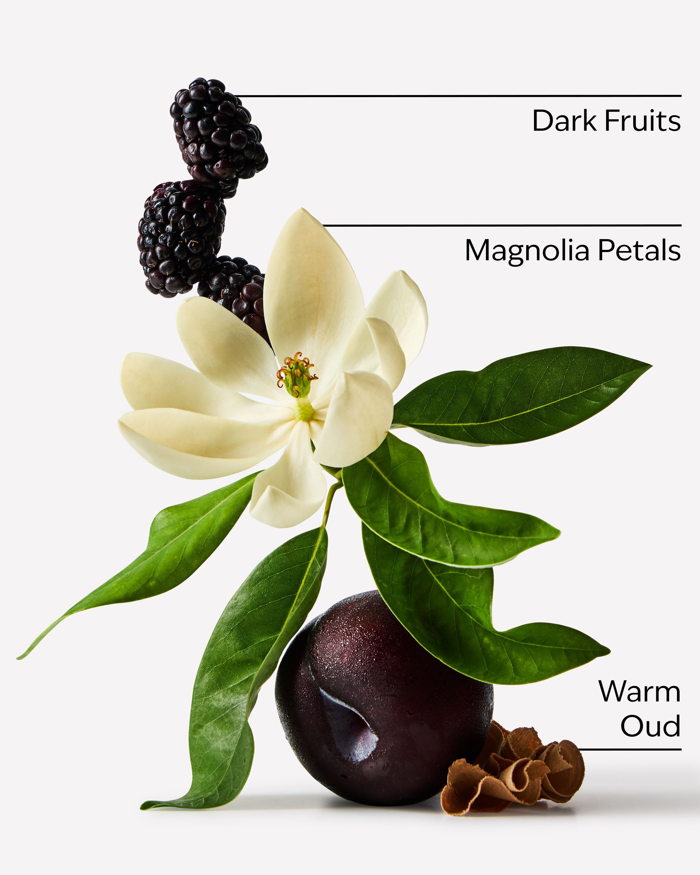 Oud Berry Ultimate Hydration Body Cream