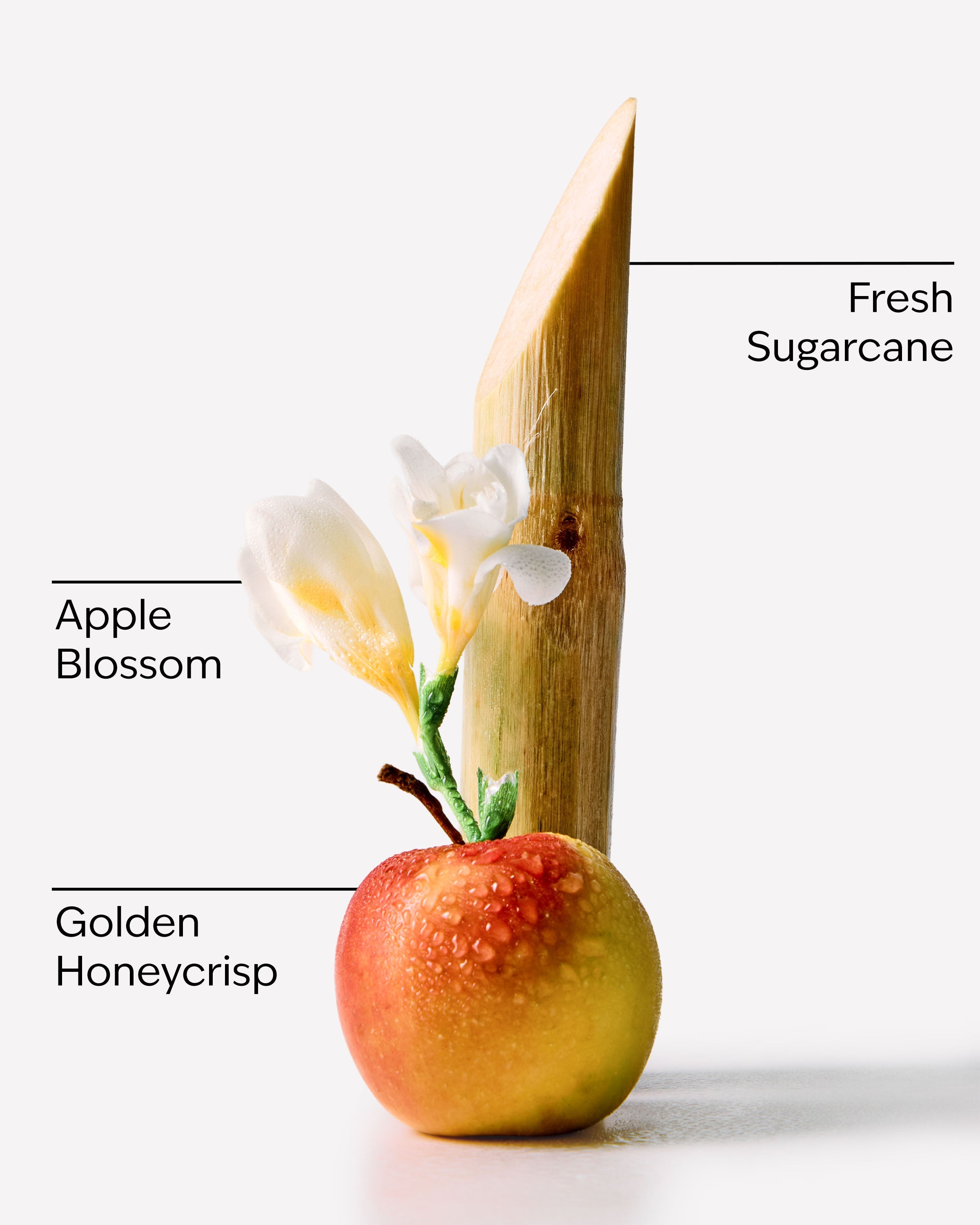 Honeycrisp Apple 3-Wick Candle