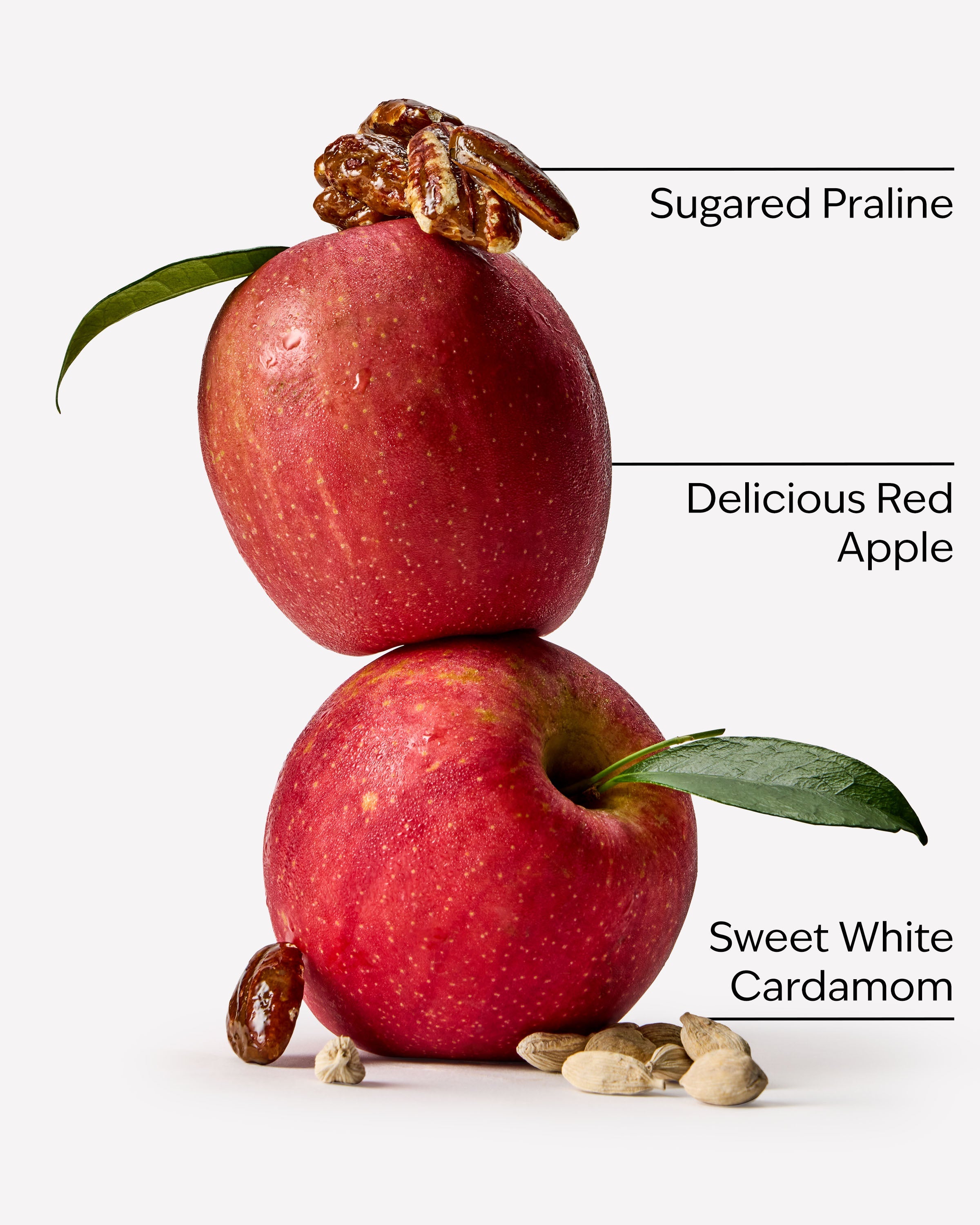 Apple Cinnamon Spice 3-Wick Candle