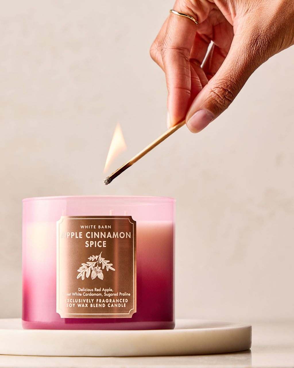 Apple Cinnamon Spice 3-Wick Candle