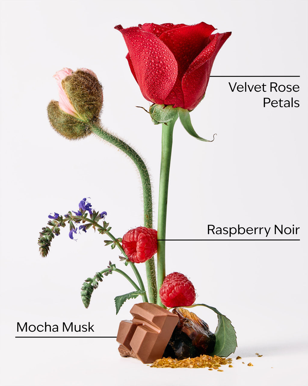 Into the Night Body Wash