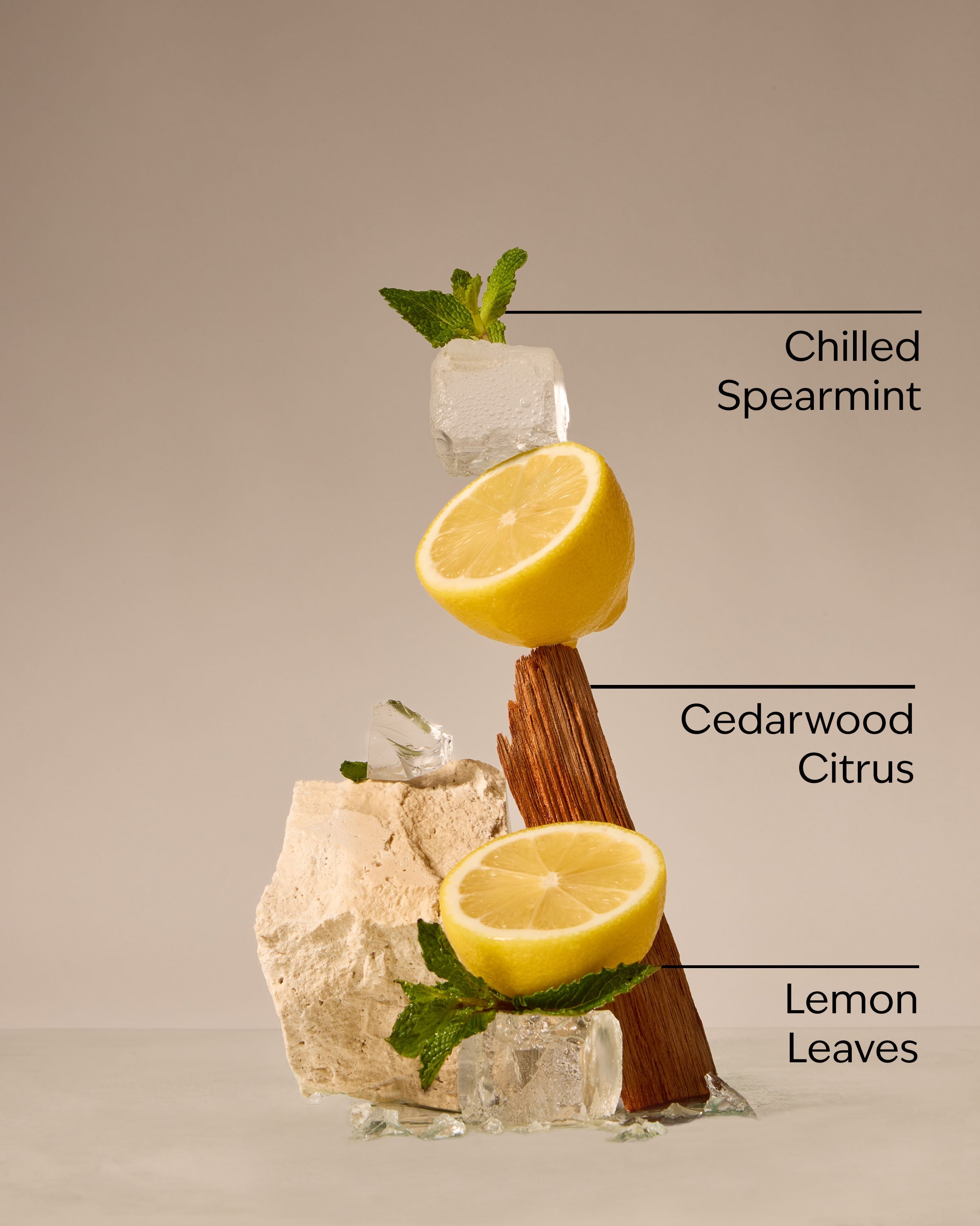 Fresh Amalfi Lemon 3-Wick Candle