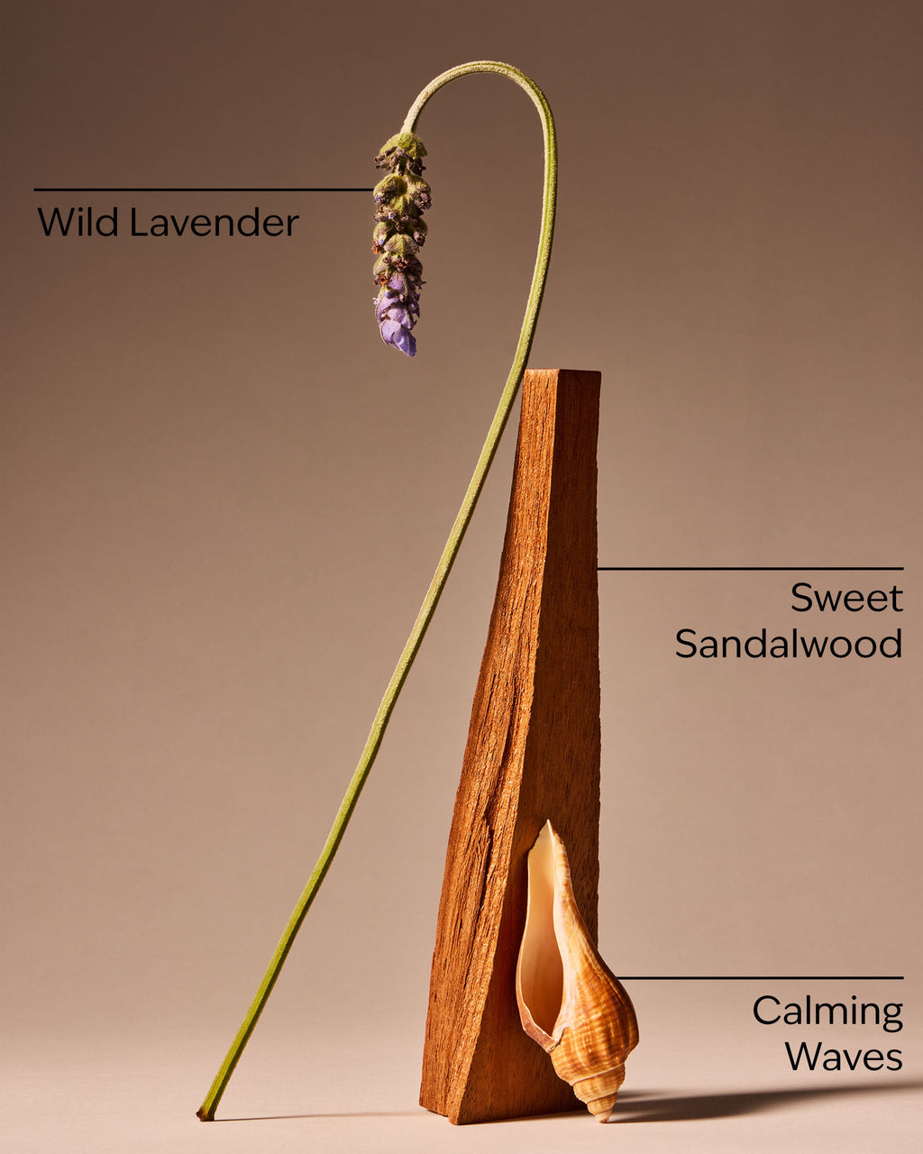 Oceanside Lavender 3-Wick Candle