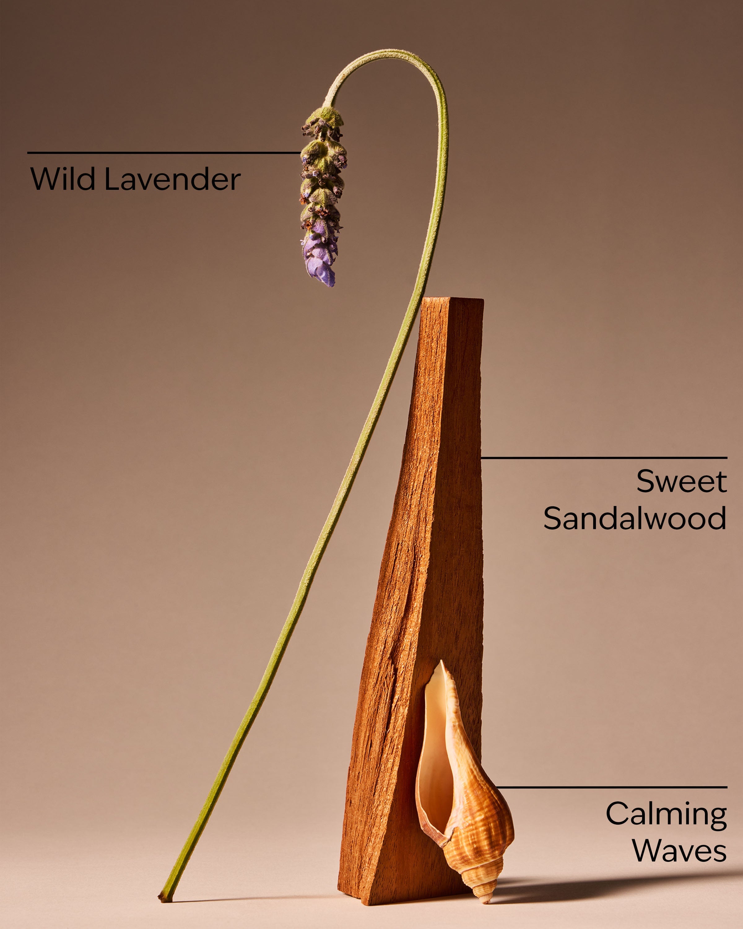 Oceanside Lavender 3-Wick Candle