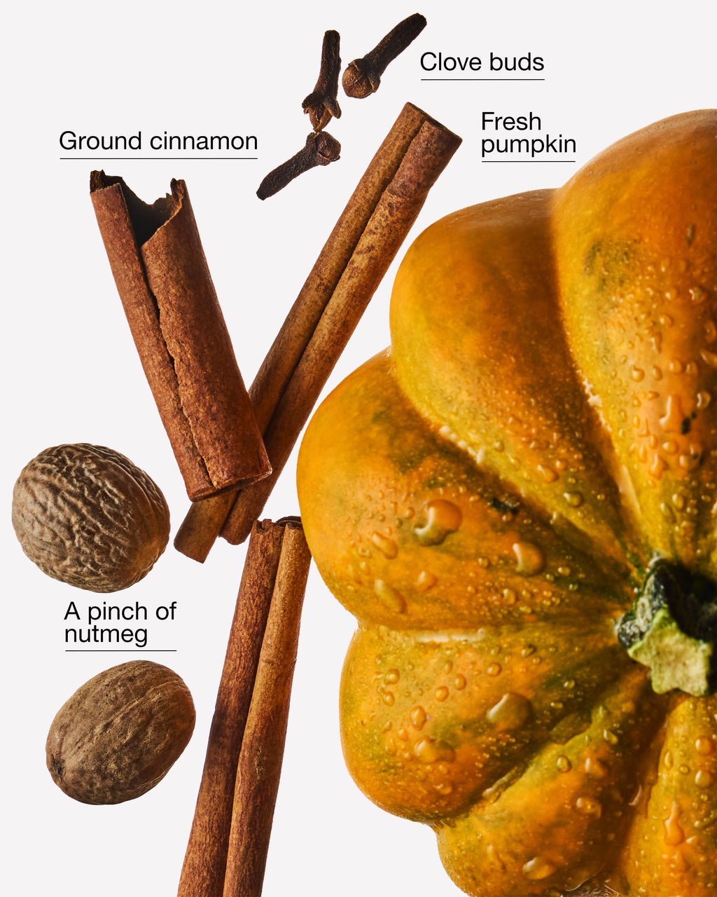 Pumpkin Clove 3-Wick Candle