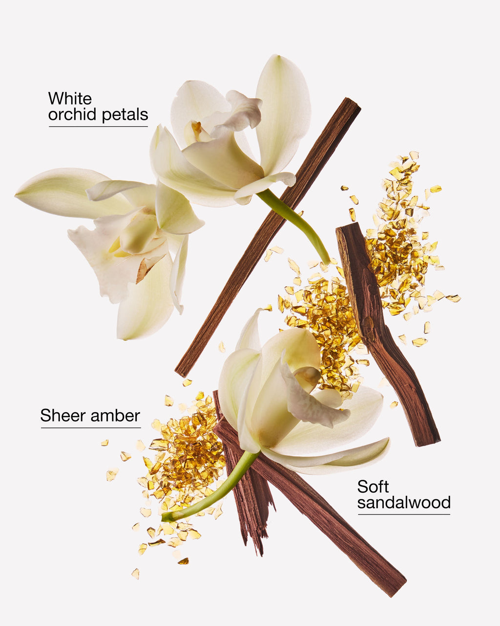 Dreamy Amber Wallflowers Fragrance Refill