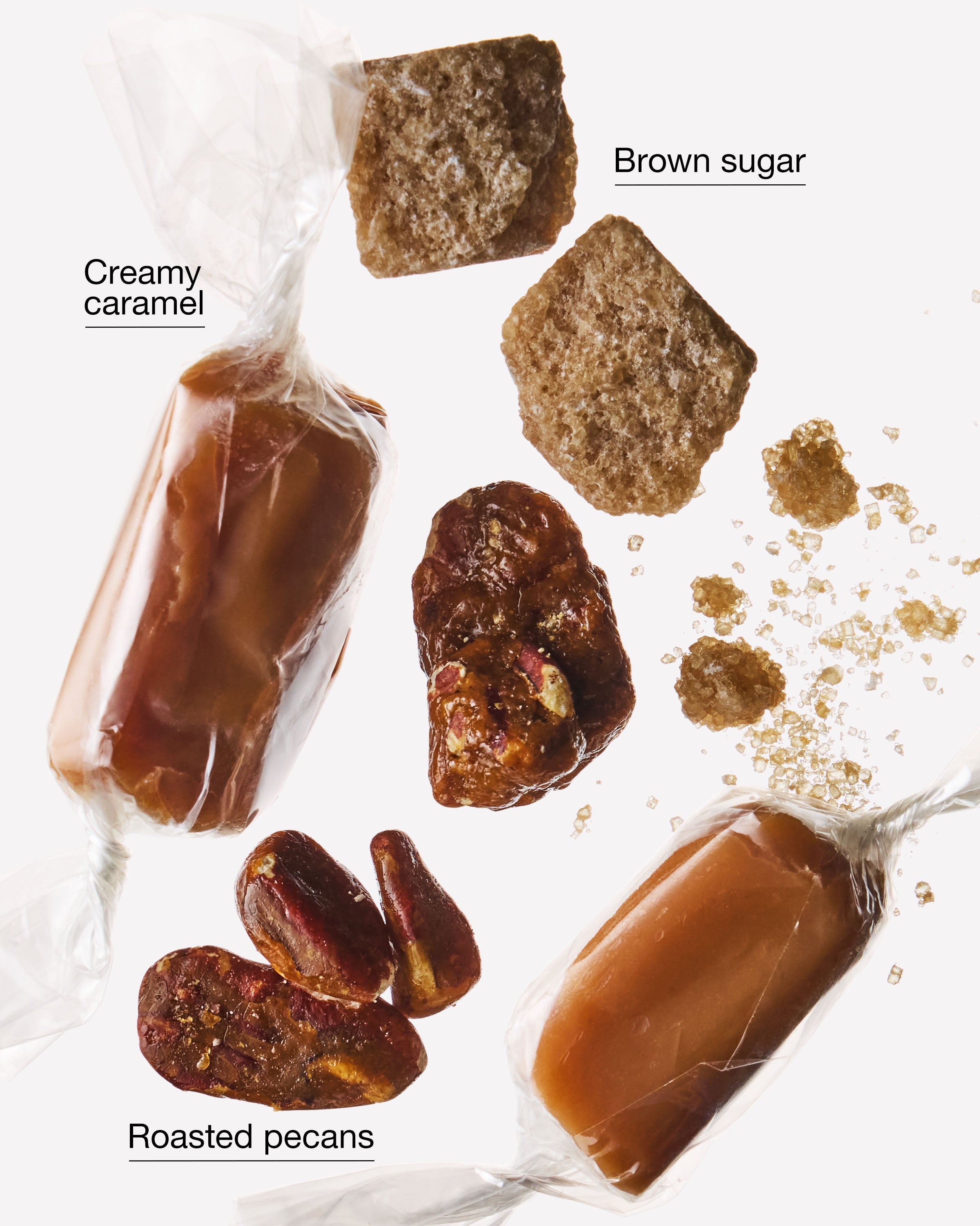 Praline Delight Wallflowers Refills 2-Pack