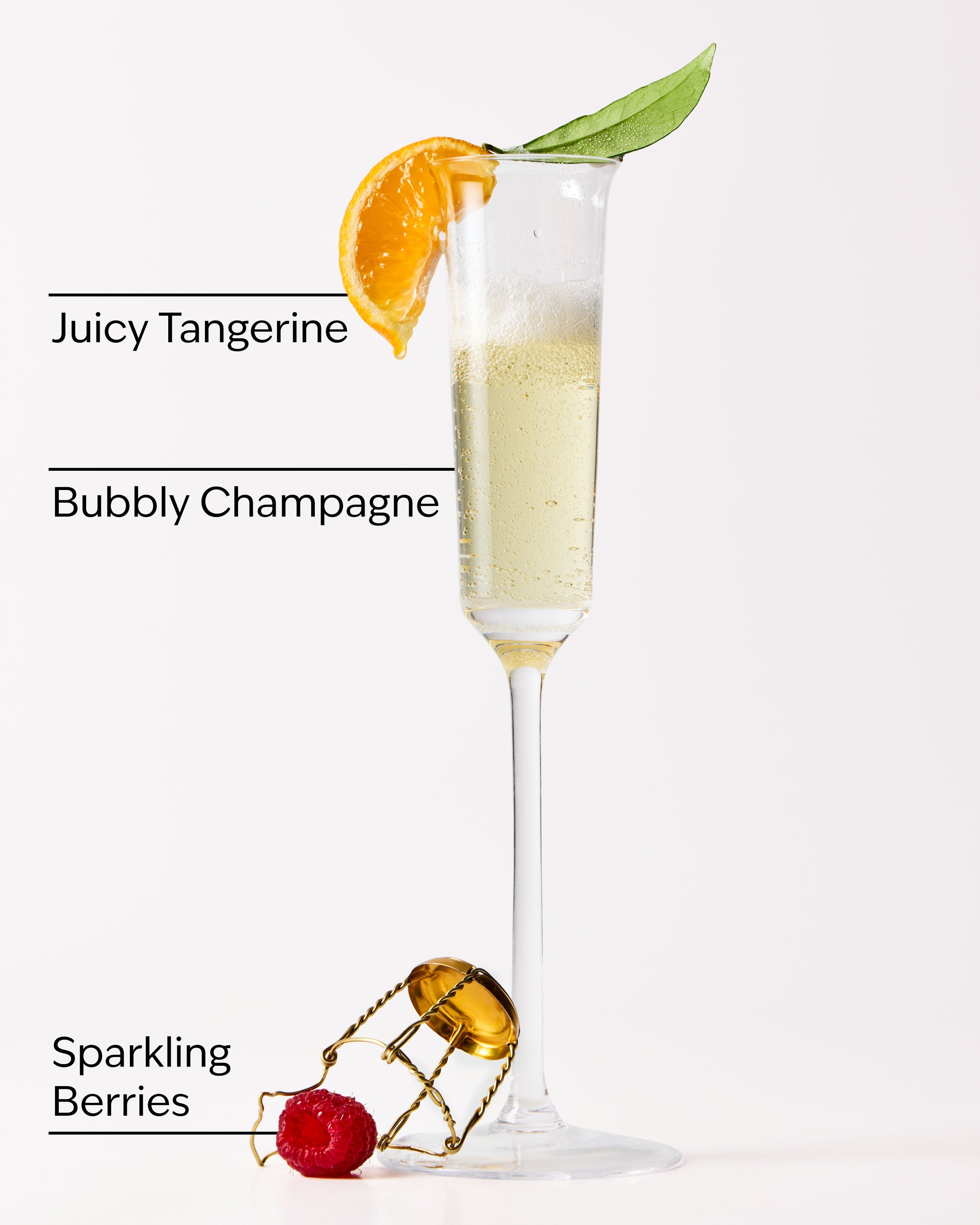 Champagne Toast Fine Fragrance Mist